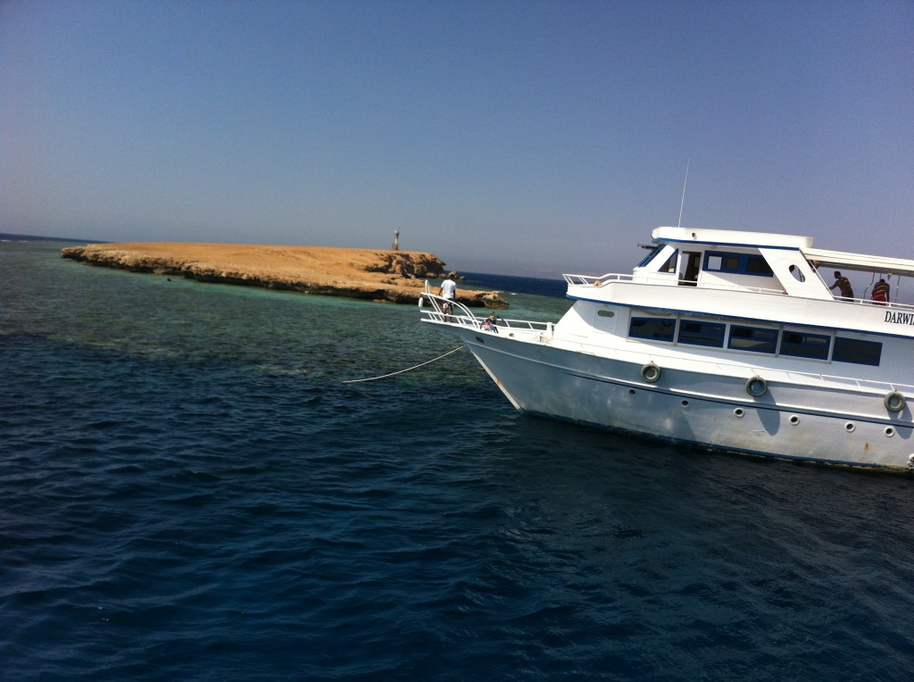 Umm Gamar in the Egyptian Red Sea at The Scuba News