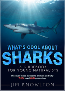 What's Cool About Sharks at The Scuba News