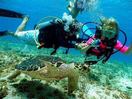 8 year old diver snapping photos of a personal encounter with a turtle during Kids Sea Camp! (Photo courtesy Divetech)