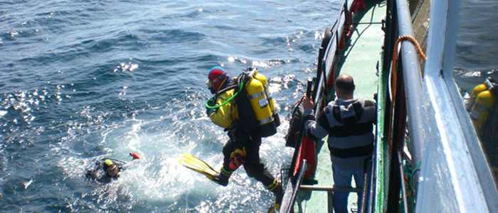 Dive Scapa Flow at The Scuba News