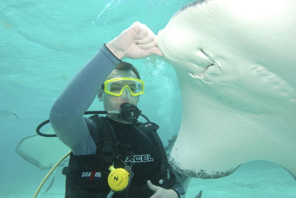 Cayman's famous Stingrays always offer an exciting dive experience.
