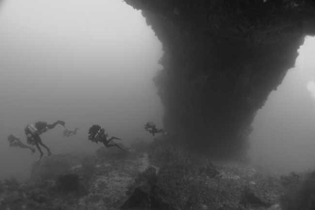 The Arch at Elphinstone at The Scuba News