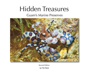 Hidden Treasures by Tim Rock at The Scuba News
