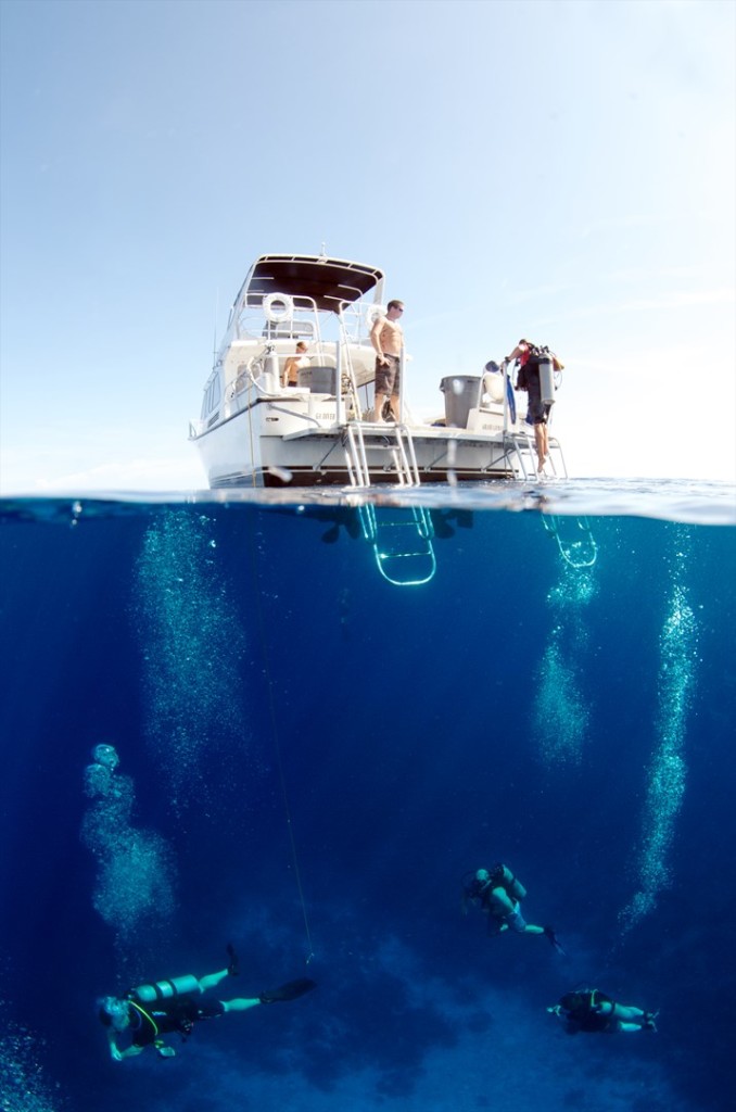 Stunning visibility, perfect dive conditions and excellent dive operators attract divers from all over the world. Photo courtesy Amanda Nicholls.