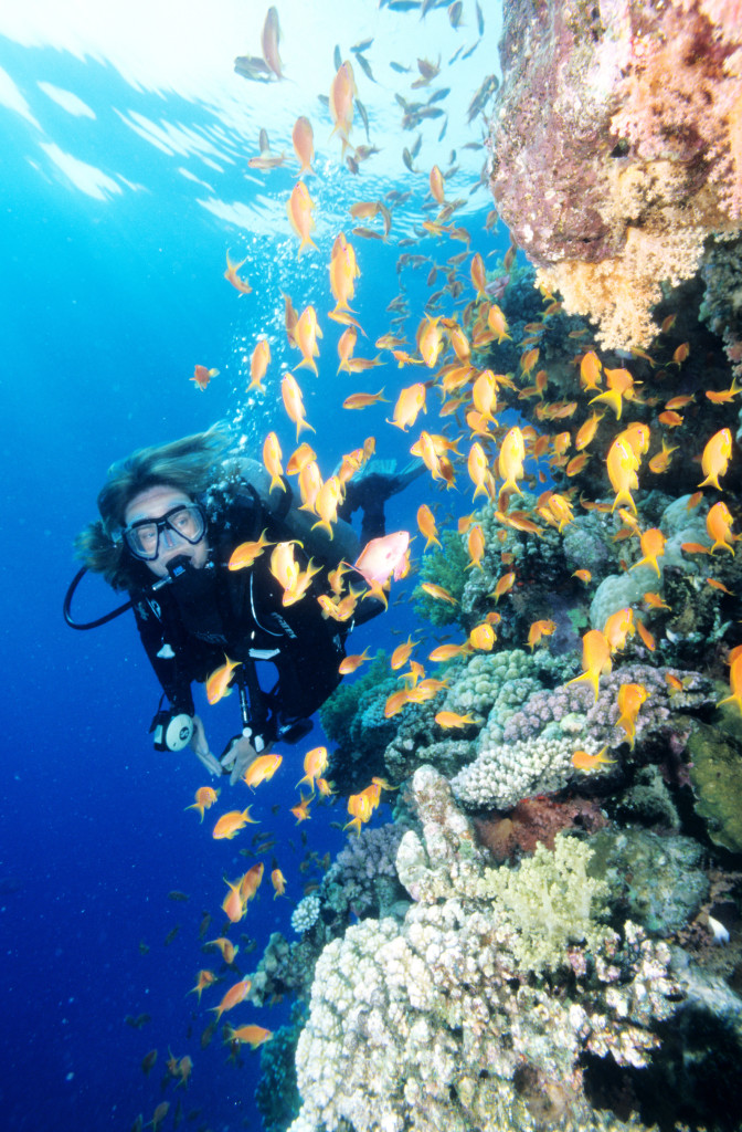 Book soon and save this summer with Regaldive