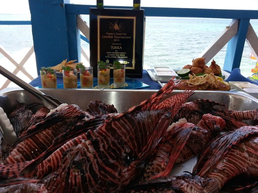 Lionfish on the menu at Tukka and Eagle Ray's Dive Bar & Grill. The fish have a delicate, flakey white meat that make them good to eat. Photo courtesy Ocean Frontiers.