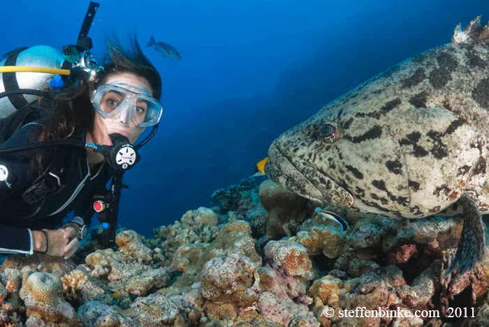 Michelle Barry, Cairns Dive School