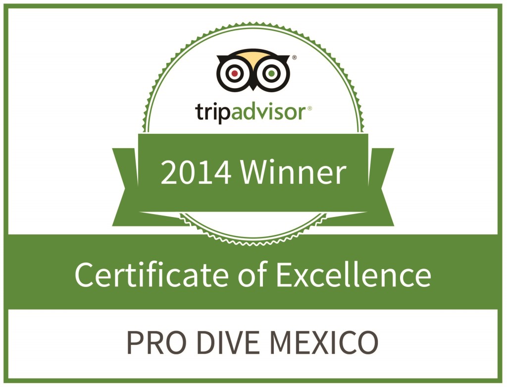 Certificate of Excellence 2014” by TripAdvisor
