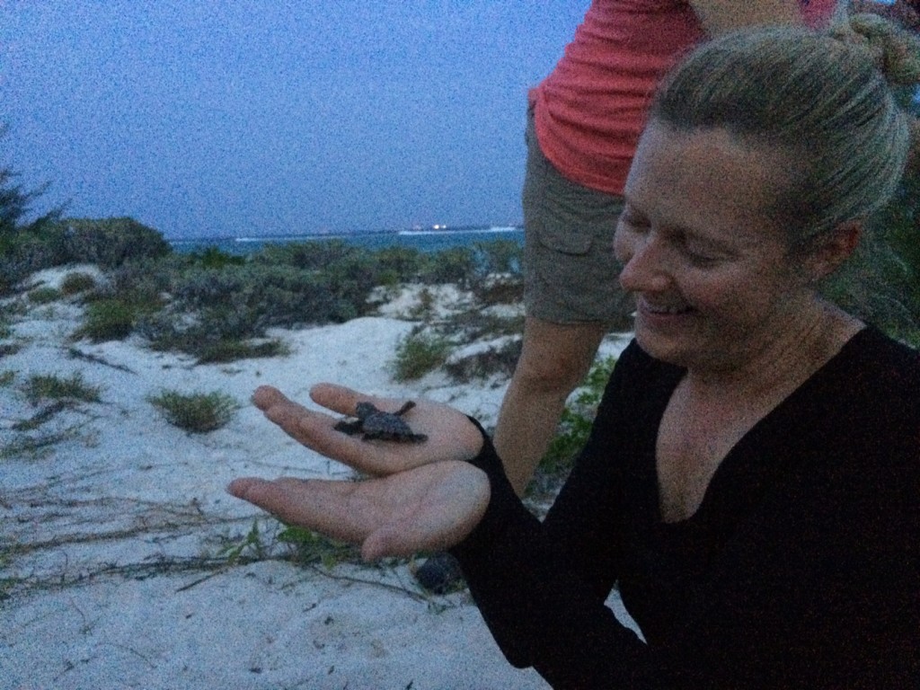 Southern Cross Club General Manager Jennifer Mills, a long time turtle watch volunteer, welcomes a new hatchling before helping it to the sea shore on Little Cayman. Photo courtesy Southern Cross Club.