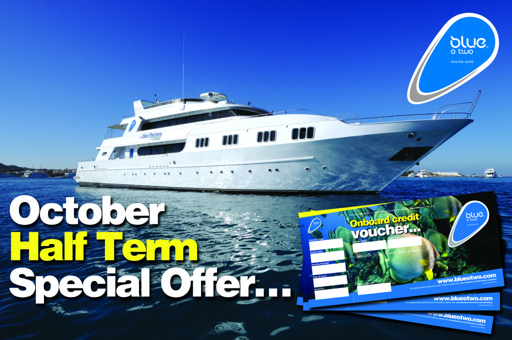 blue o two Half Term Offers