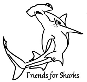 Friends for Sharks
