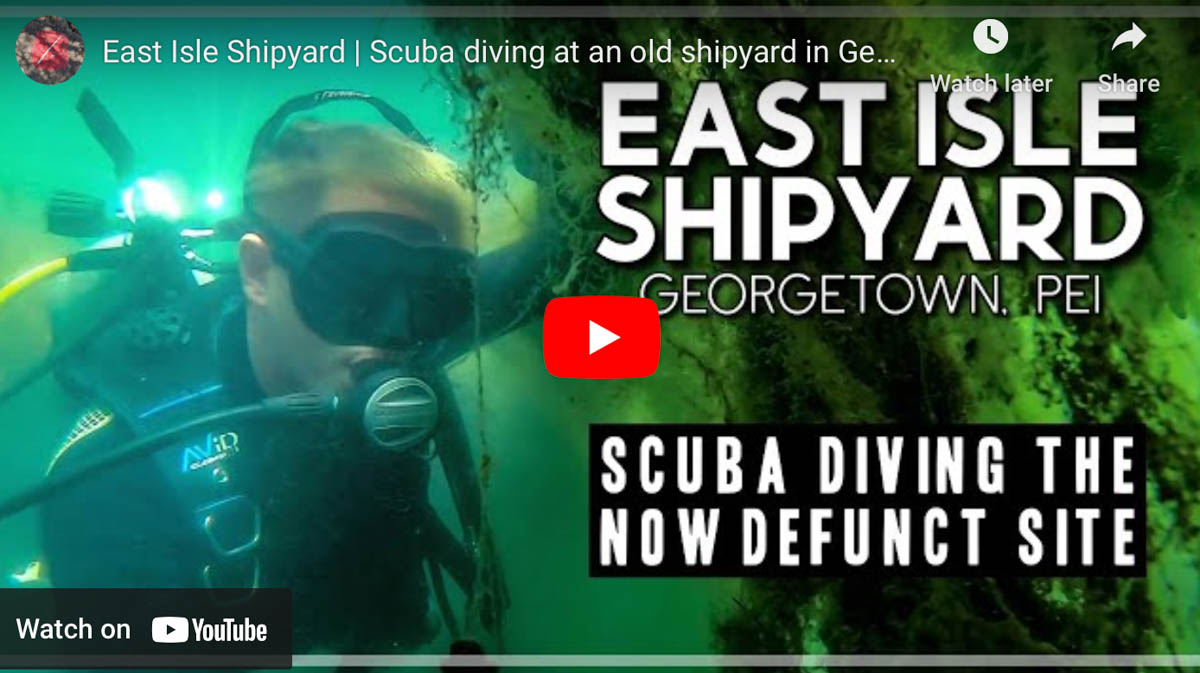 Scuba Diving At An Old Shipyard In Georgetown, Prince Edward Island ...