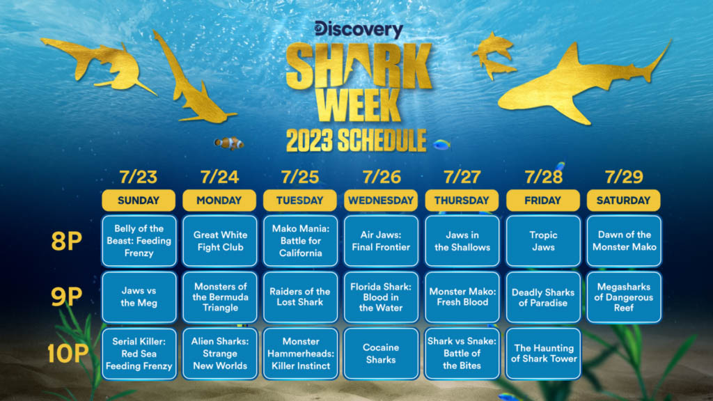 Get Ready for Shark Week 2023 Go Scuba Diving Bahamas