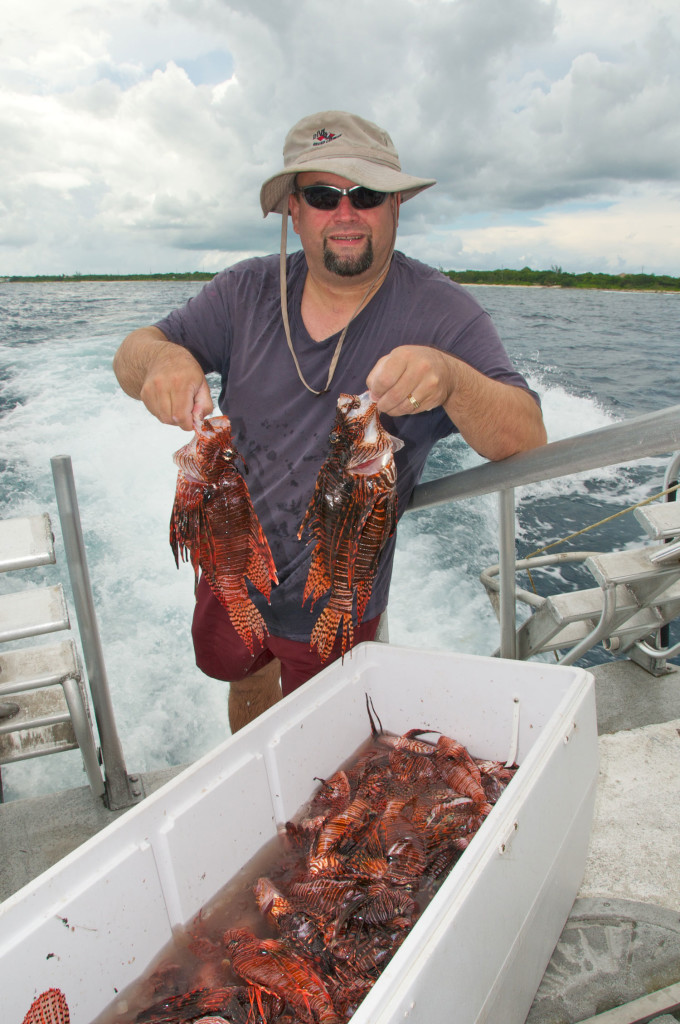 Teal Tigers Catch