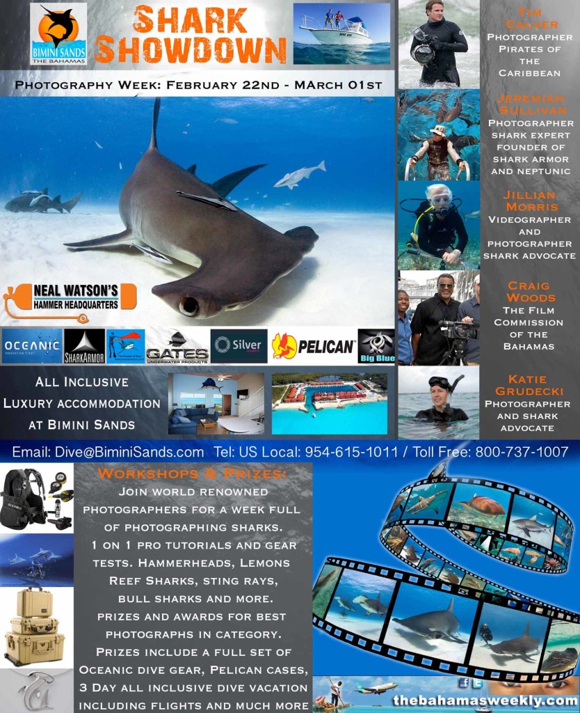 Bimini Shark Showdown at The Scuba News