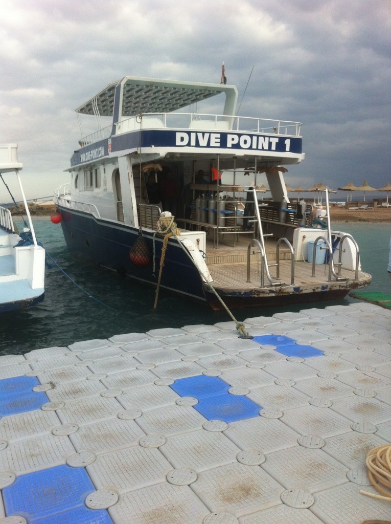 A Day Out With Dive Point