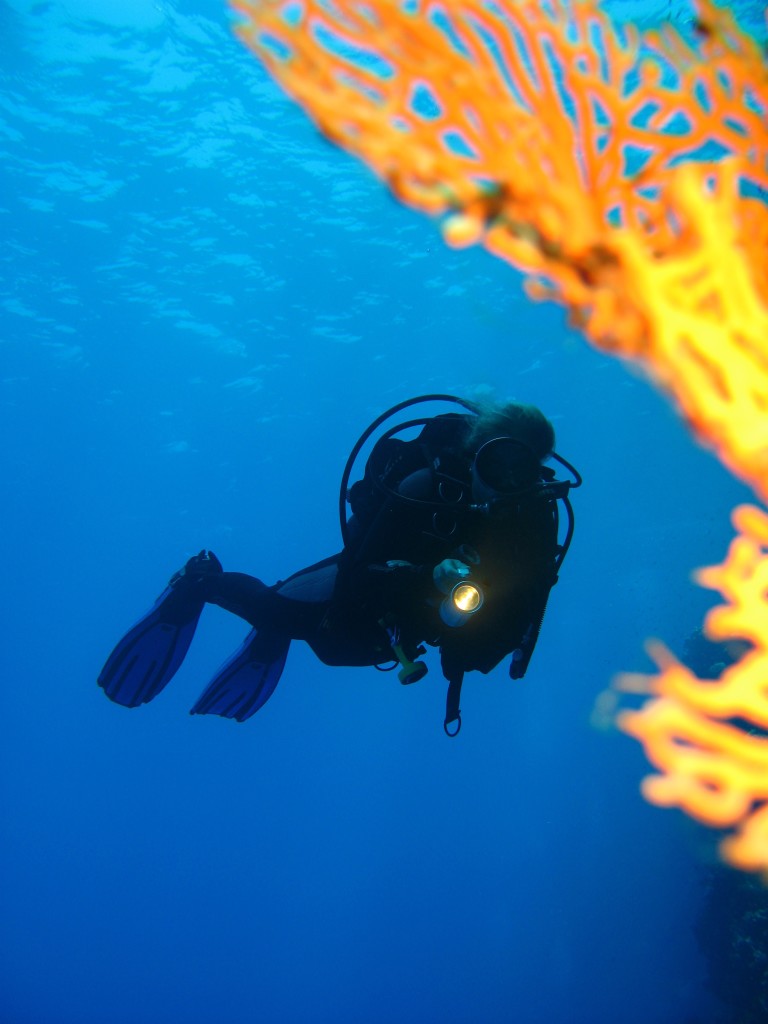 Emperor Divers Marsa Alam