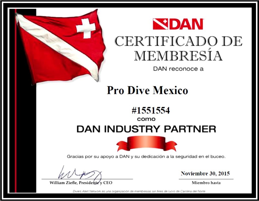 Pro Dive Mexico DAN Certificate