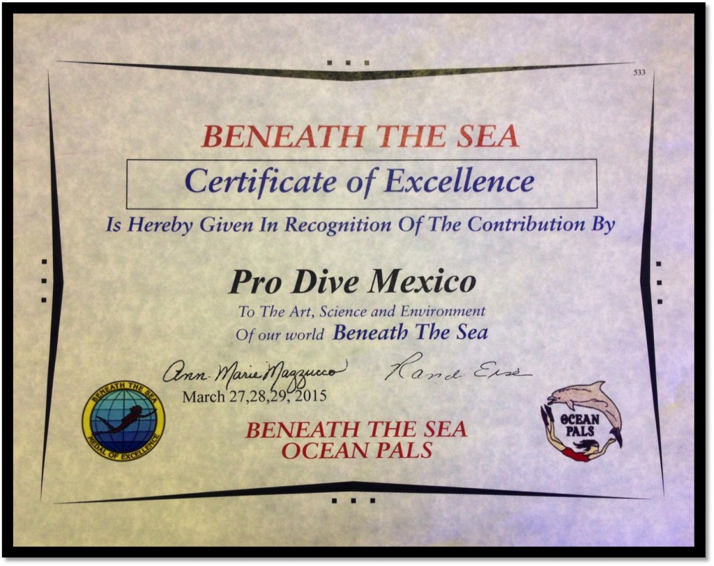 BTS Certificate of Excellence PDM