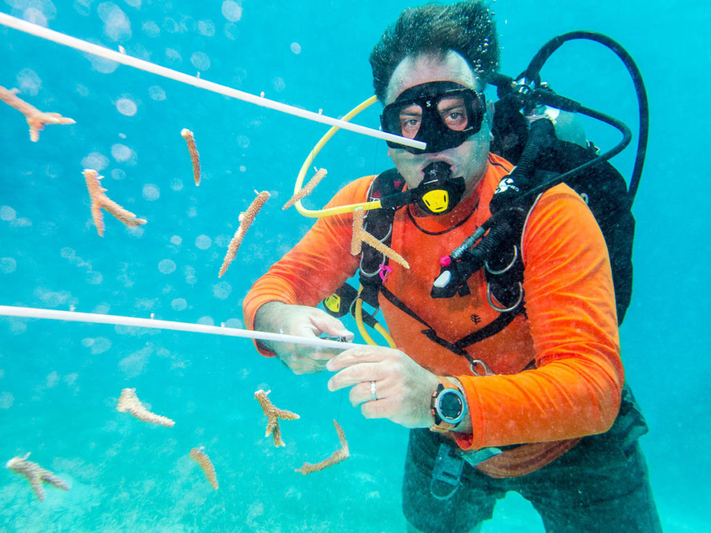 Ocean Frontiers co-owner Steve Broadbelt working on the coral nursery that has long been a dream for this conservation-minded dive operator. Photo courtesy Lois Hatcher and Ocean Frontiers.