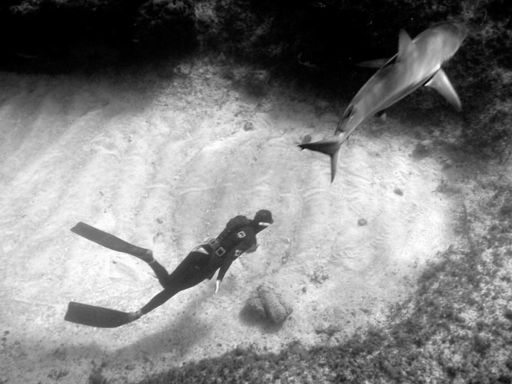 Freediving