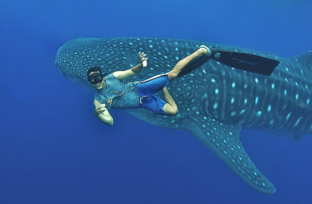 steve-rosenberg-dive-galapagos-07-11-16