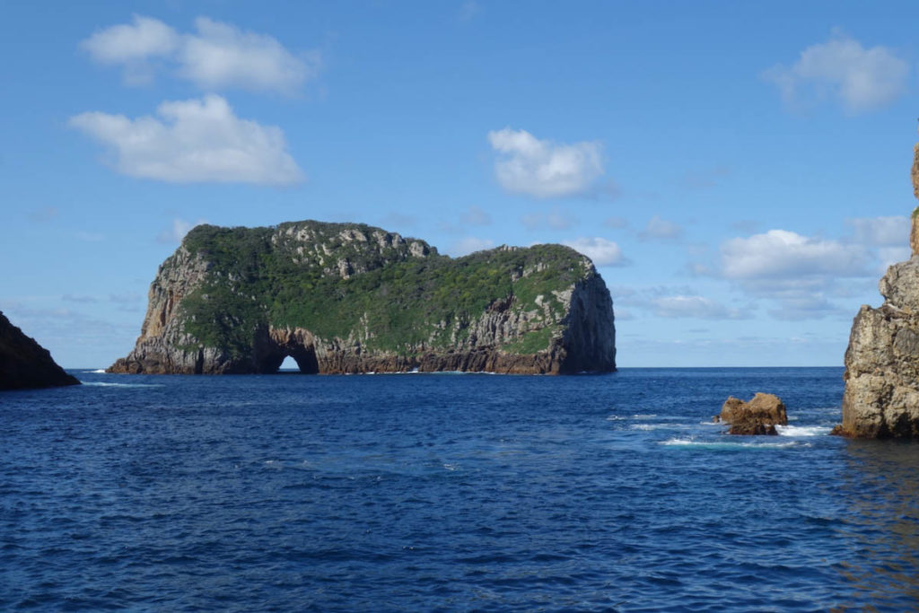 Northern New Zealand