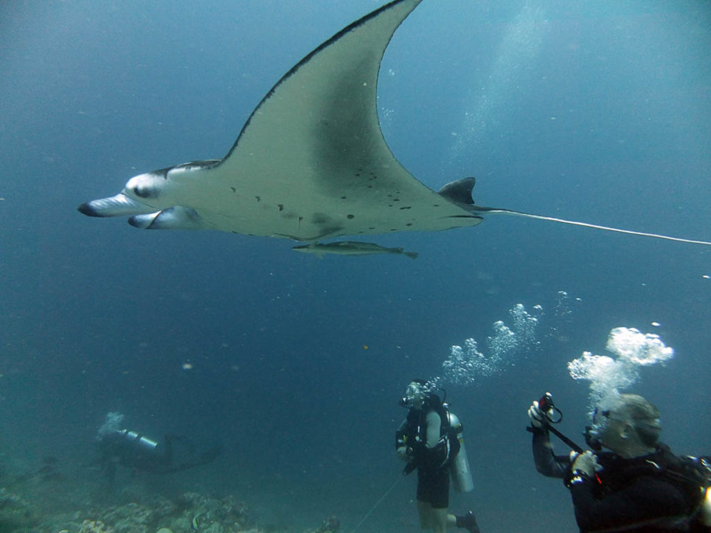 Emperor Divers Maldives