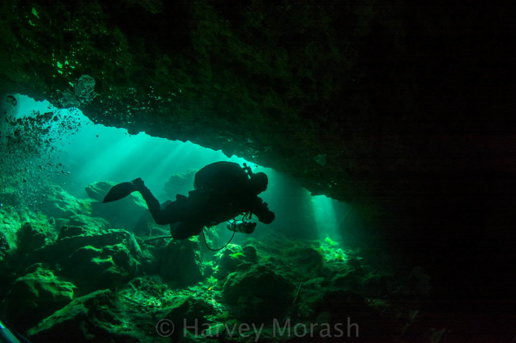 Louisbourg Scuba Services