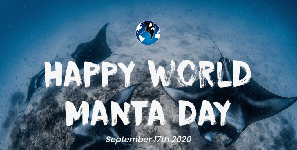 World Manta Day