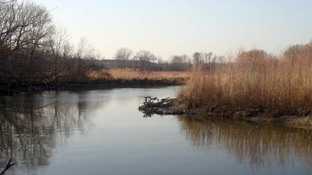 Ontario Wetlands