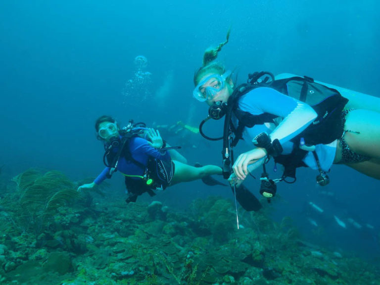 A Beginner Diver's Journey - The Scuba News