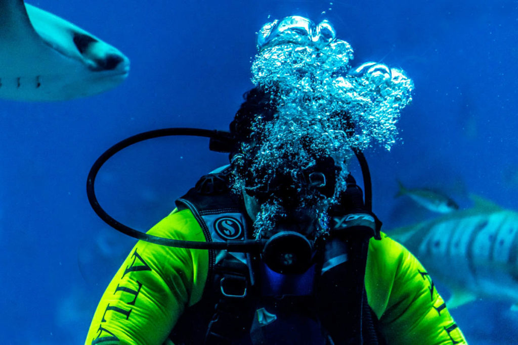 Diver Underwater