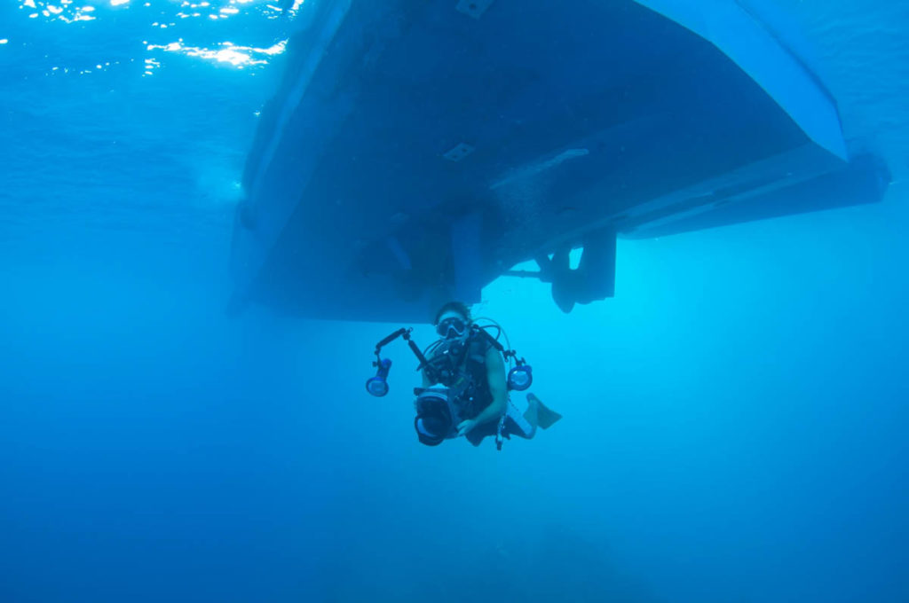 Under the Boat