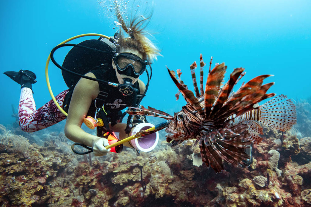 Lionfish - Hunt with Awareness