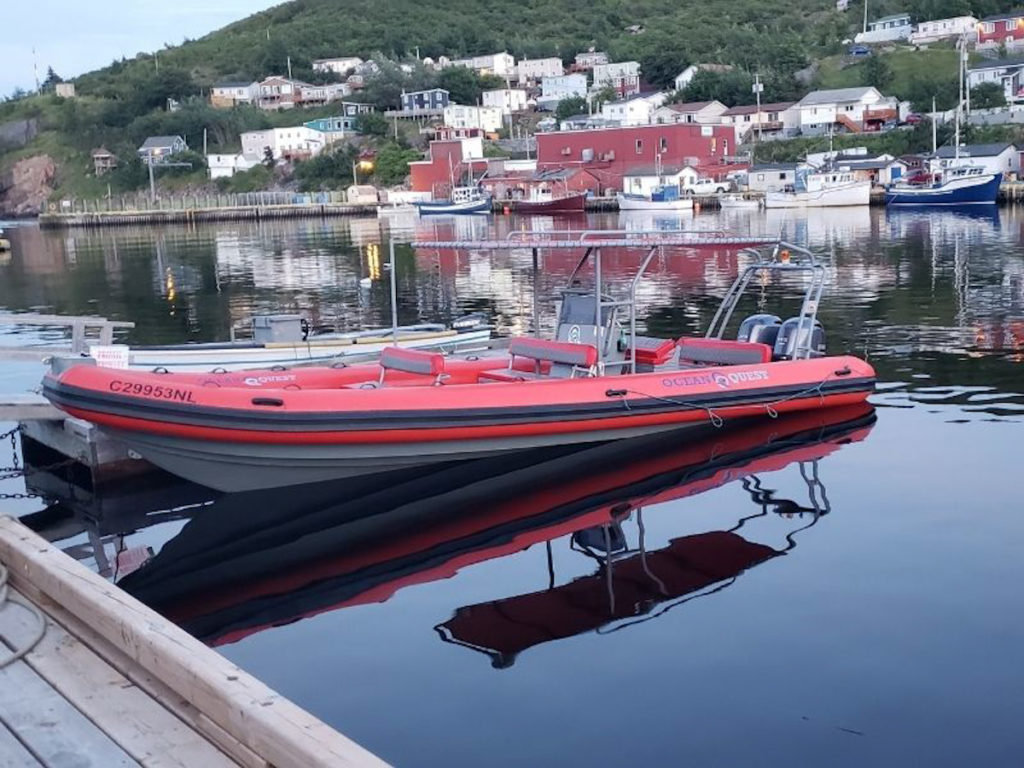 Ocean Quest Zodiac Tours