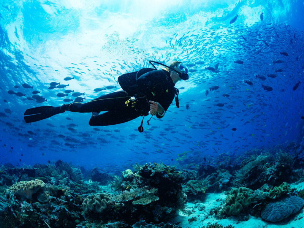 Scuba Diving California