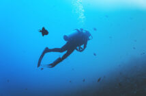 Scuba Diver Underwater