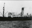 SS Caribou