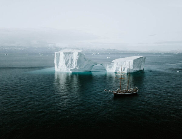 Arctic Aquatics: A Chilling Dive into the Icy Depths