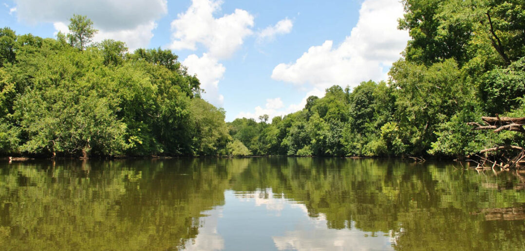 The Underwater Archaeology of Cape Fear Rice Plantations - The Scuba News