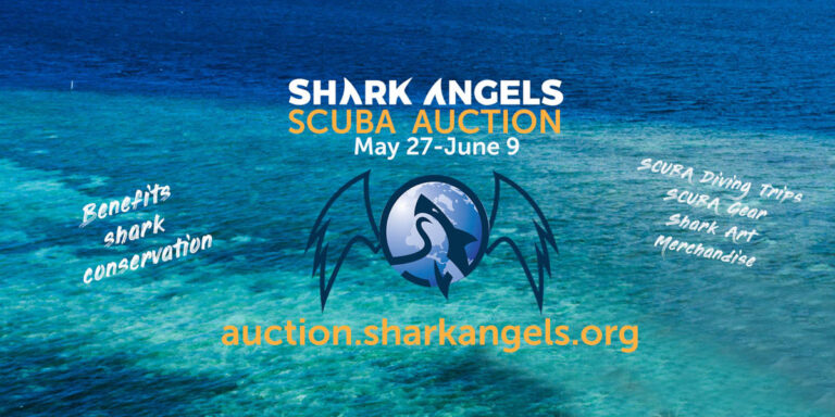 Shark Angels Auction 2024