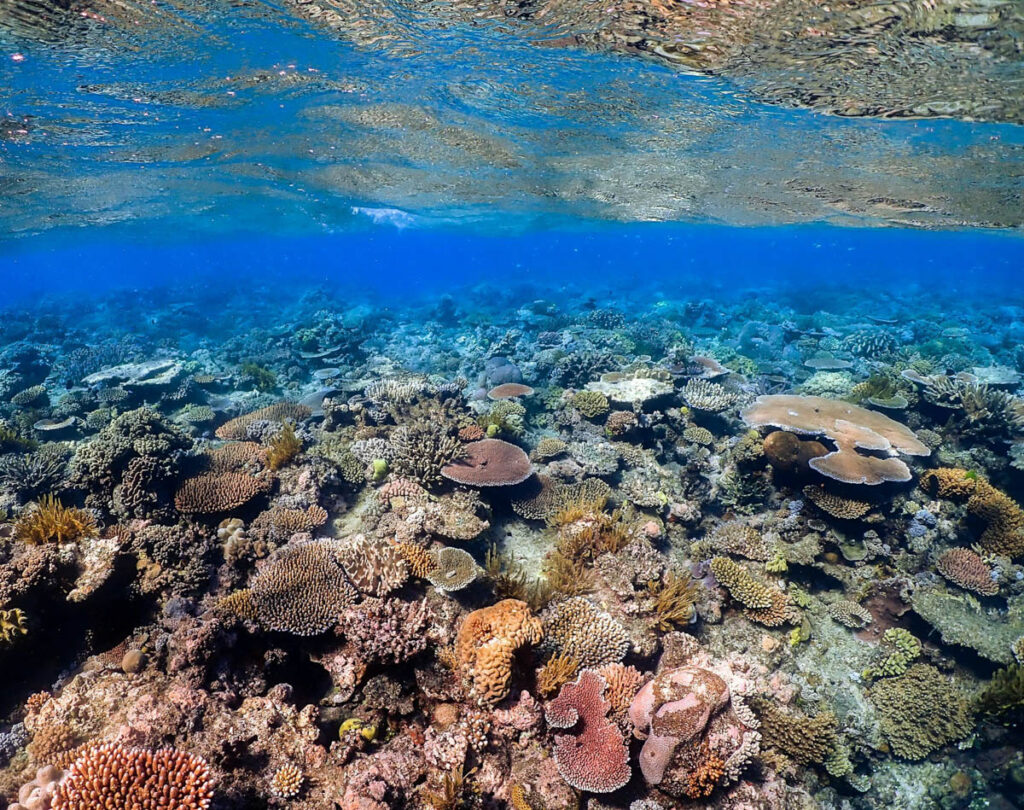 Great Barrier Reef