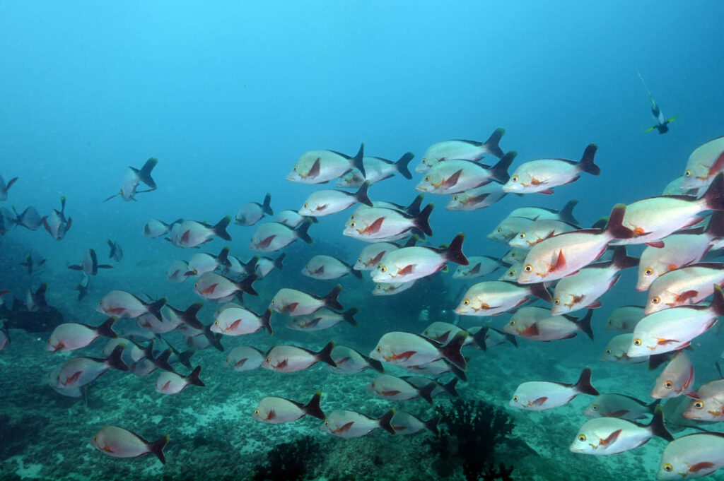 Bazaruto Archipelago