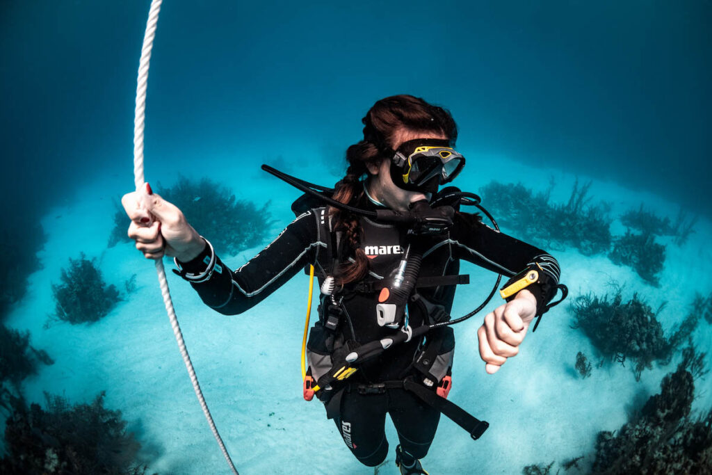 Divers Underwater