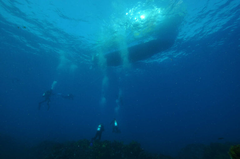 Divers Underwater