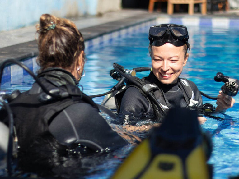 Diving Instructors