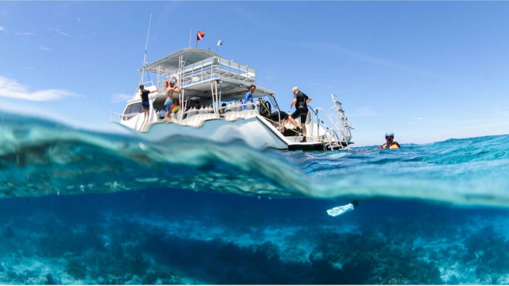 Dive Curacao