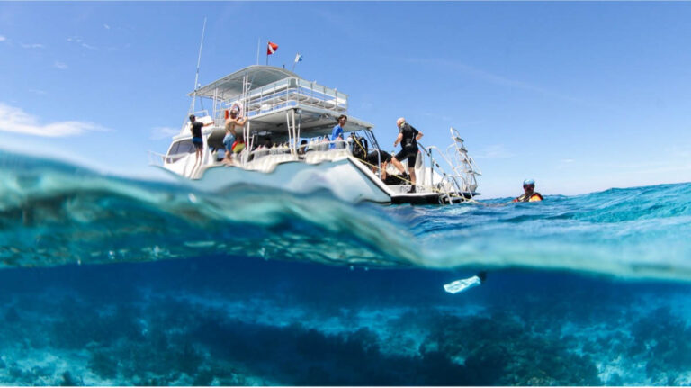 Dive Curacao