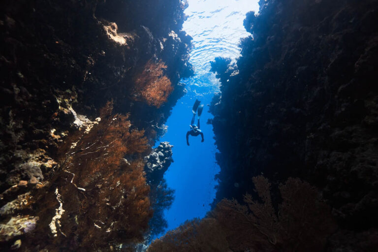 Diver Underwater